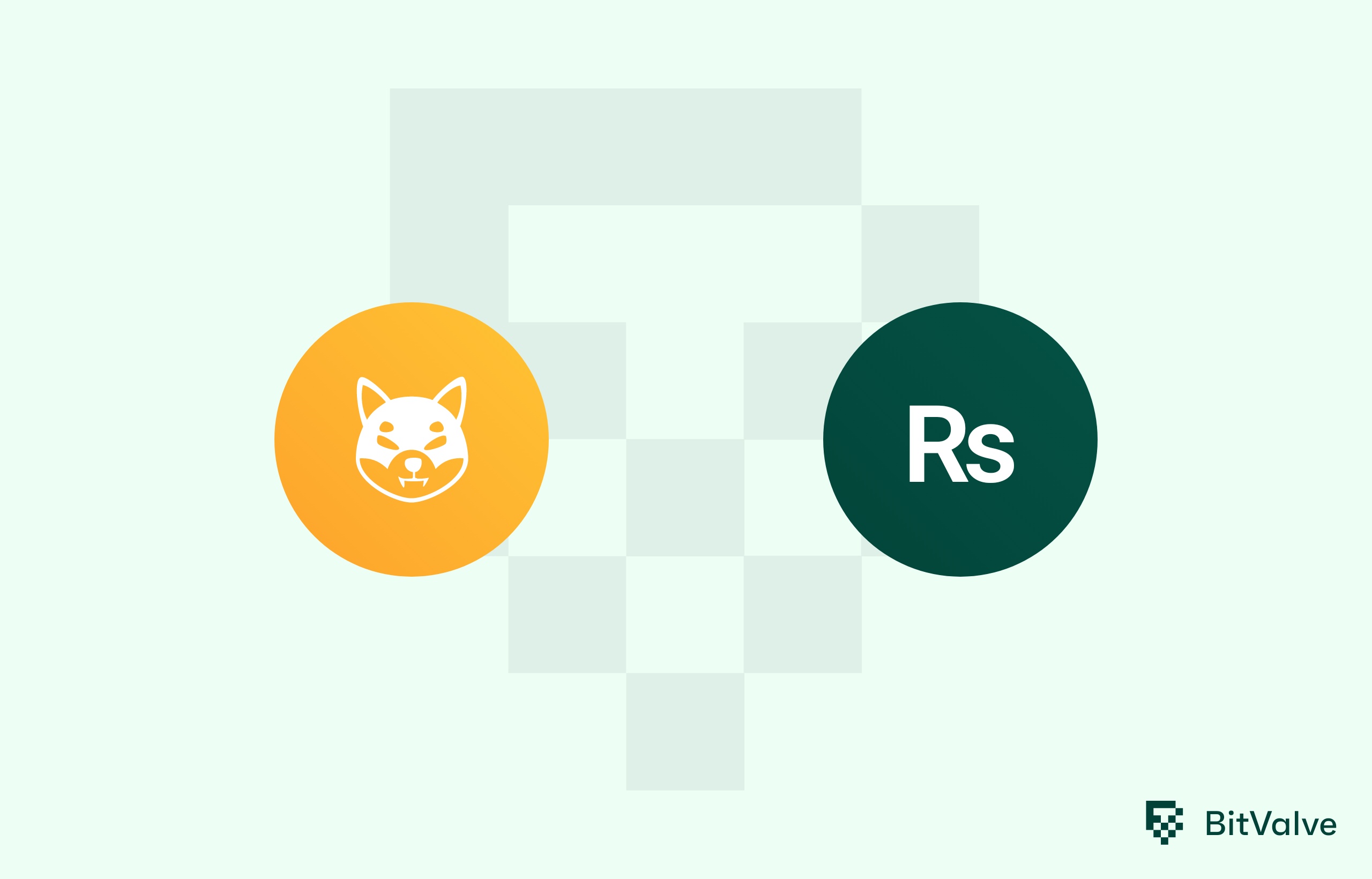 Convert SHIBA to PKR